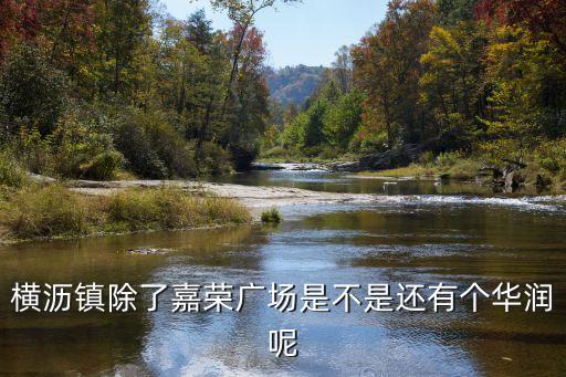 橫瀝鎮(zhèn)除了嘉榮廣場是不是還有個華潤呢