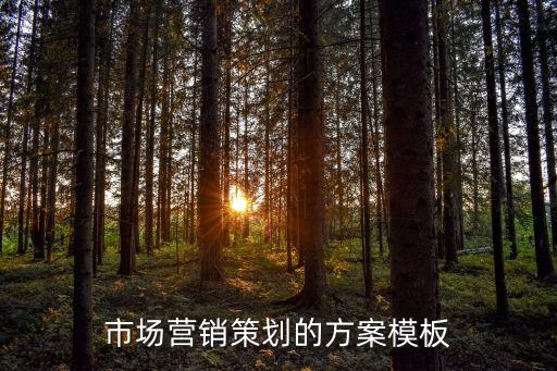 市場營銷策劃的方案模板