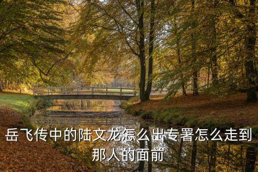 岳飛傳中的陸文龍怎么出專署怎么走到那人的面前