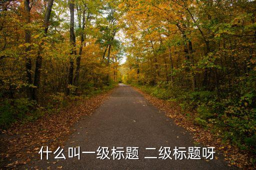 什么叫一級(jí)標(biāo)題 二級(jí)標(biāo)題呀