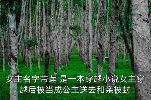 女主名字帶蓮 是一本穿越小說女主穿越后被當成公主送去和親被封