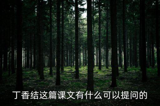 丁香結這篇課文有什么可以提問的