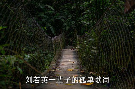 一輩子的孤單簡譜，一輩子的孤單的歌詞