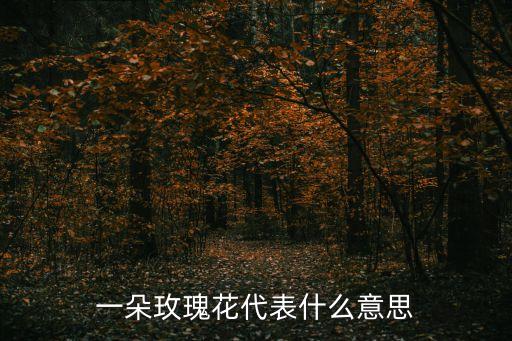 一朵玫瑰花代表什么意思