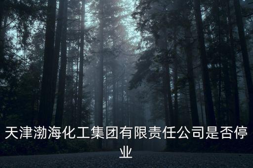 天津渤海化工集團有限責任公司是否停業