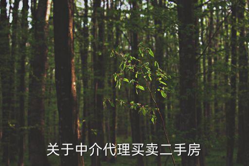 關于中介代理買賣二手房