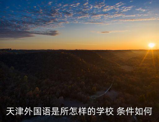 天津市濱海新區三中外國語學校，天津外國語是所怎樣的學校 條件如何