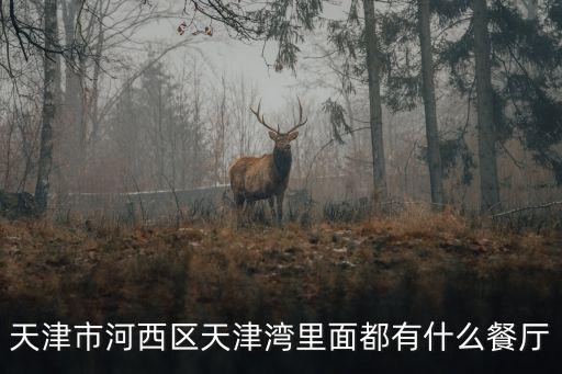 天津市河西區(qū)天津灣里面都有什么餐廳