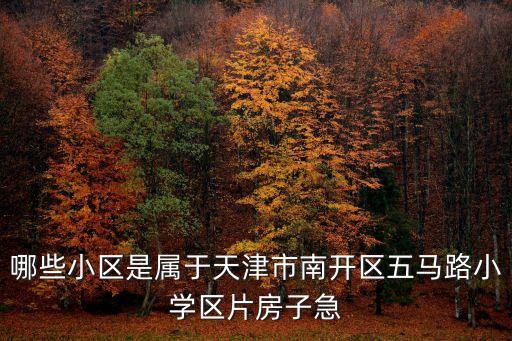 哪些小區是屬于天津市南開區五馬路小學區片房子急