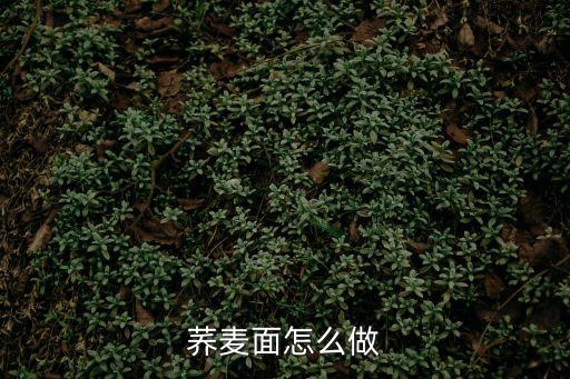 蕎麥面做法，怎樣煮蕎麥面條