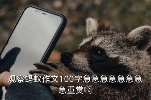 觀察螞蟻，觀察螞蟻作文300字