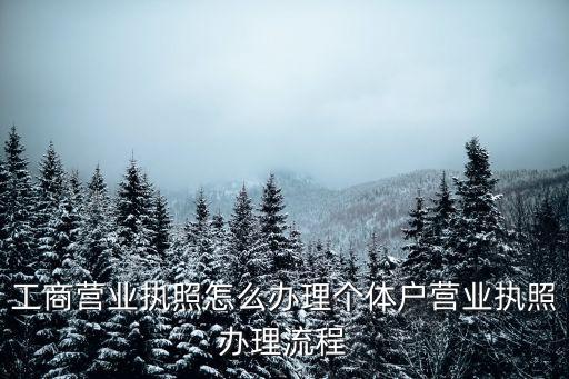 個體戶營業執照辦理流程，工商營業執照怎么辦理個體戶營業執照辦理流程
