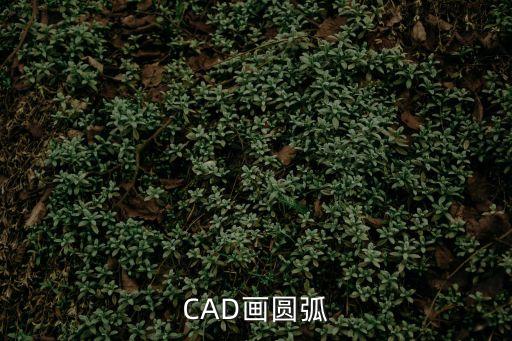 CAD畫圓弧