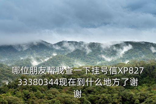 哪位朋友幫我查一下掛號信XP82733380344現在到什么地方了謝謝