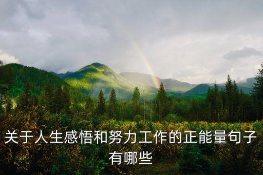 關于人生感悟和努力工作的正能量句子有哪些