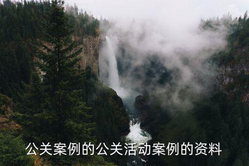 公關(guān)案例的公關(guān)活動(dòng)案例的資料