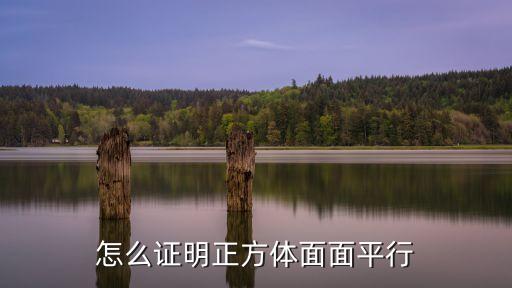 怎么證明正方體面面平行