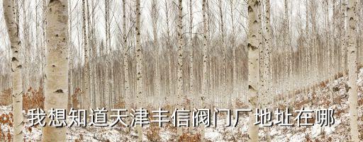 天津市紅橋法蘭閘閥，我想知道天津豐信閥門廠地址在哪