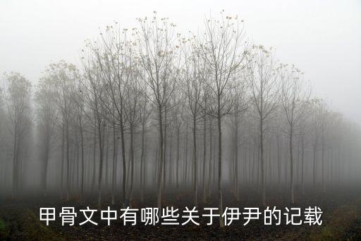 伊尹簡介，甲骨文中有哪些關于伊尹的記載