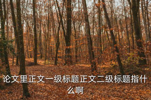 論文里正文一級(jí)標(biāo)題正文二級(jí)標(biāo)題指什么啊