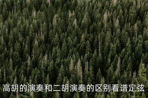 高胡的演奏和二胡演奏的區(qū)別看譜定弦