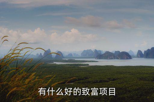 致富項(xiàng)目大全		，誰有發(fā)財(cái)致富的項(xiàng)目推薦一下