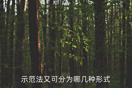 示范法又可分為哪幾種形式