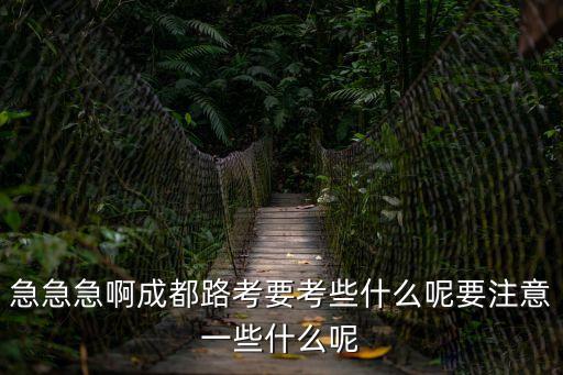 急急急啊成都路考要考些什么呢要注意一些什么呢