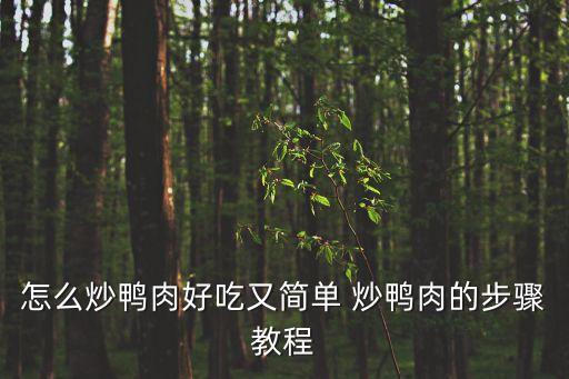 怎么炒鴨肉好吃又簡單 炒鴨肉的步驟教程