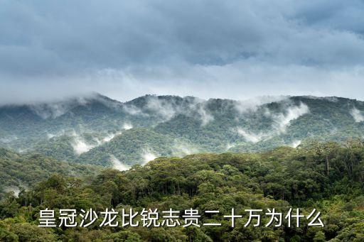 皇冠沙龍比銳志貴二十萬為什么