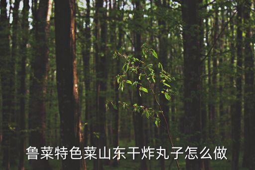 干炸小丸子，魯菜特色菜山東干炸丸子怎么做