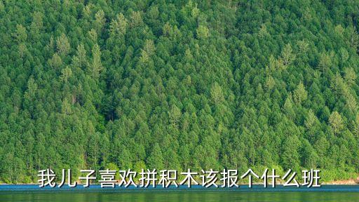 我兒子喜歡拼積木該報個什么班