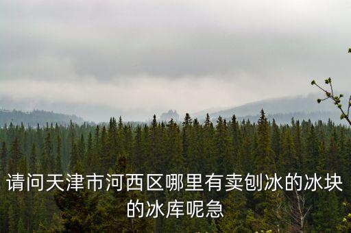 請問天津市河西區哪里有賣刨冰的冰塊的冰庫呢急