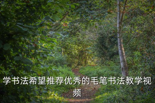 學(xué)書(shū)法希望推薦優(yōu)秀的毛筆書(shū)法教學(xué)視頻