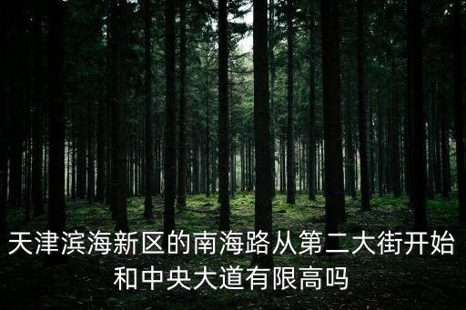 天津濱海新區的南海路從第二大街開始和中央大道有限高嗎