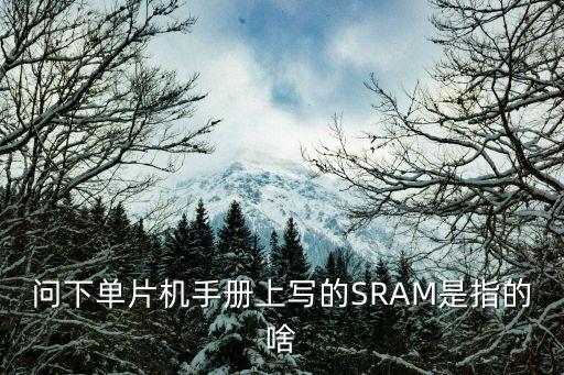 sram，問下單片機手冊上寫的SRAM是指的啥