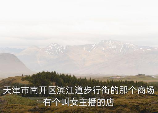 天津市南開區濱江道步行街的那個商場有個叫女主播的店