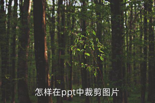 怎樣在ppt中裁剪圖片