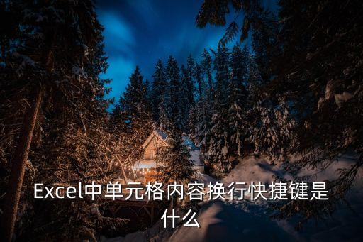 Excel中單元格內容換行快捷鍵是什么