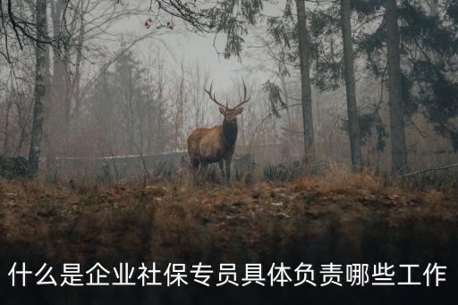 社保專員，我看見你說是社保專員主要是做什么的啊 工資待遇怎么樣  問