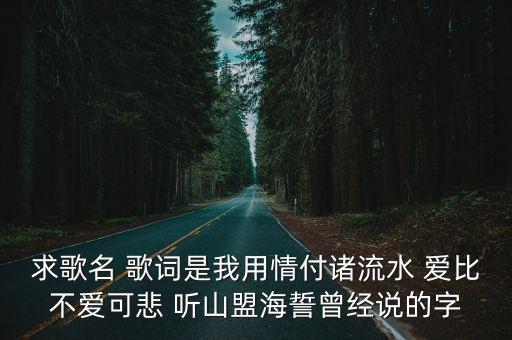 求歌名 歌詞是我用情付諸流水 愛比不愛可悲 聽山盟海誓曾經說的字