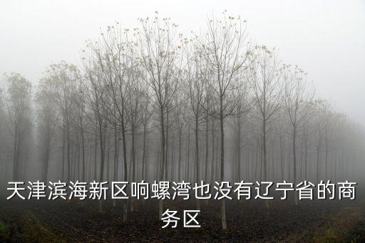 天津市濱海新區響螺灣地區，天津濱海新區地圖羅響灣在新區的什么地方