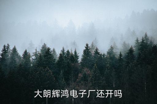 大朗輝鴻電子廠還開嗎