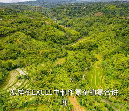 復合餅圖怎么制作，怎樣在EXCEL中制作復雜的復合餅圖