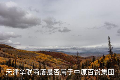 天津市中原百貨股份有，天津百貨大樓的股票名稱是什么呀