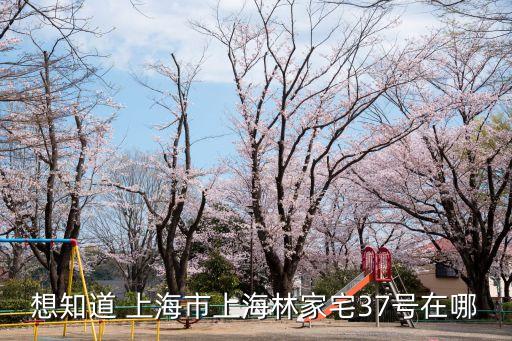 想知道 上海市上海林家宅37號(hào)在哪