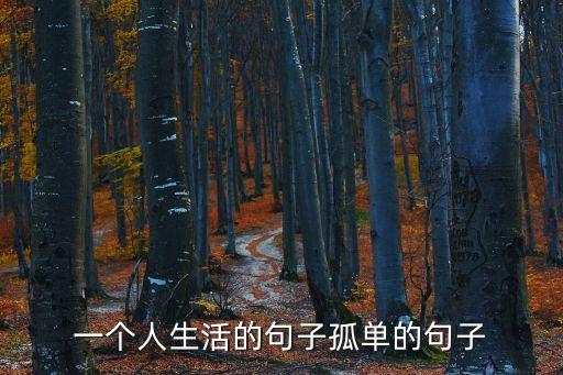 一個人生活的句子孤單的句子
