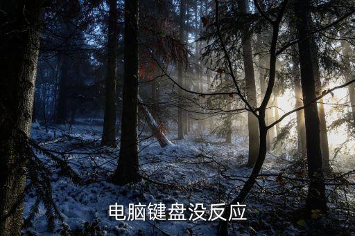 電腦鍵盤用不了，鍵盤不能用是怎么回事