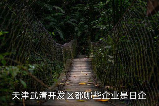 天津武清開發區都哪些企業是日企