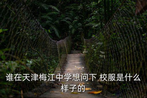 誰在天津梅江中學想問下 校服是什么樣子的